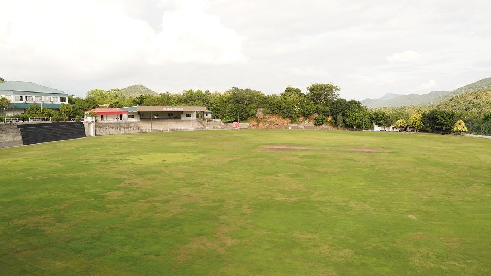 01 - Cricket.jpg