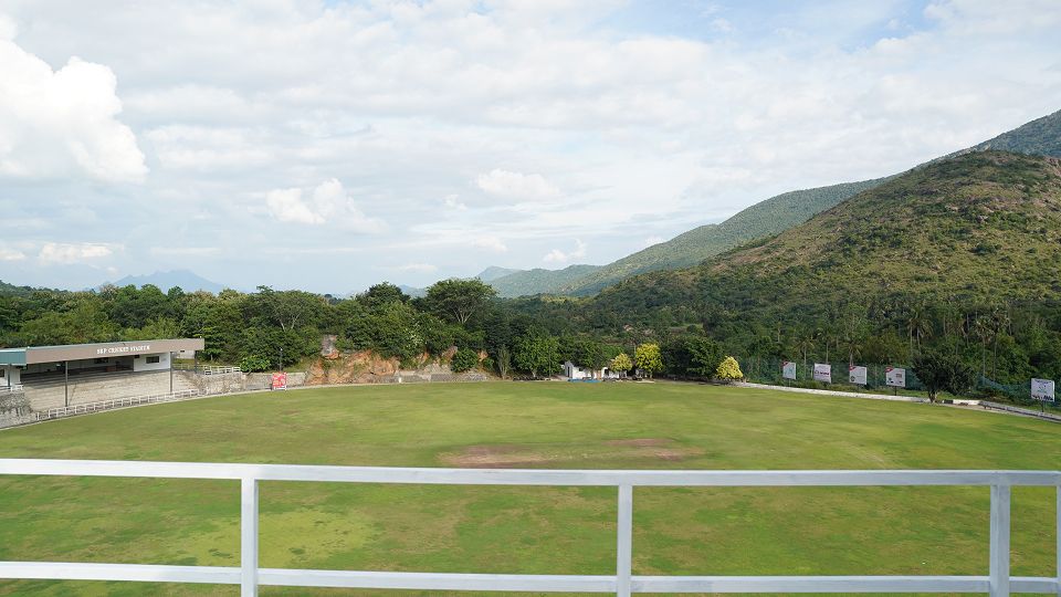 04 - Cricket.jpg