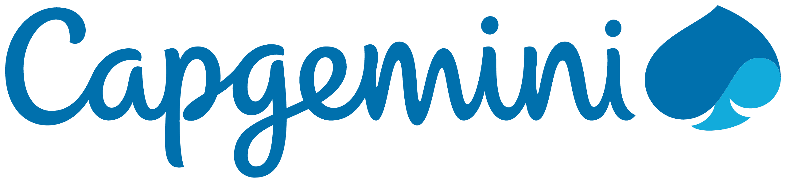 Capgemini_201x_logo.svg.png