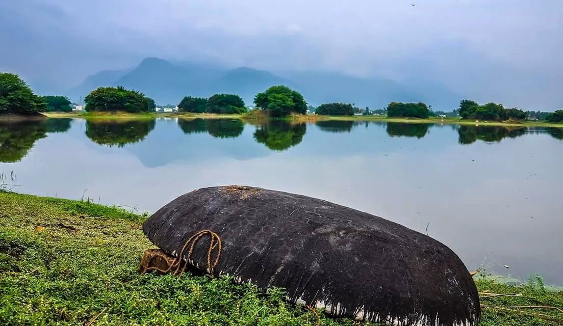 MookeneriKannakurichi_Lake_salem.avif