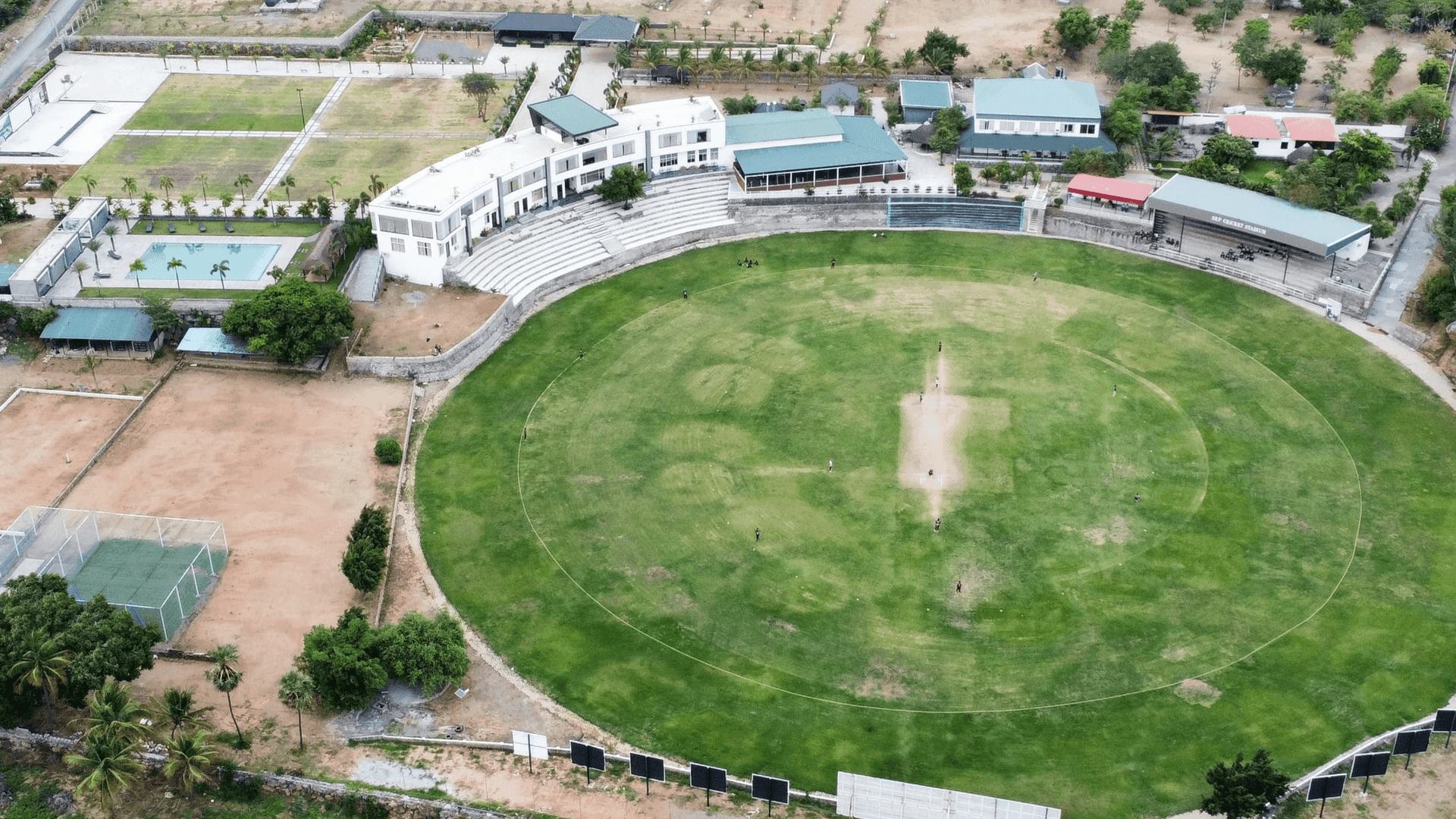 cricket.png