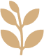 luxury_nature.png