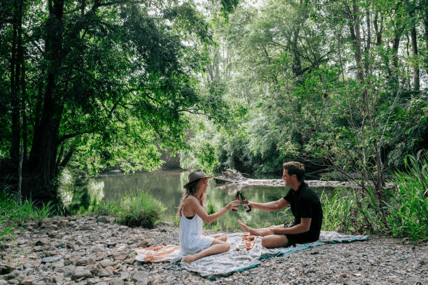 picnic.png